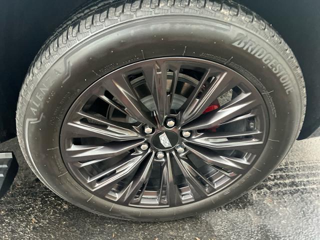 2024 Cadillac Escalade ESV Vehicle Photo in San Antonio, TX 78230-1001