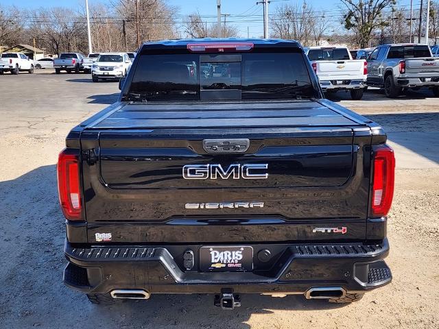 2019 GMC Sierra 1500 Vehicle Photo in PARIS, TX 75460-2116