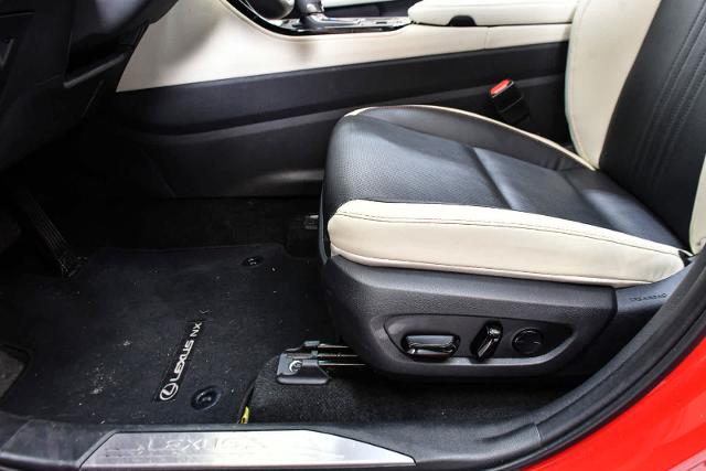 2024 Lexus NX 350 Vehicle Photo in DALLAS, TX 75235
