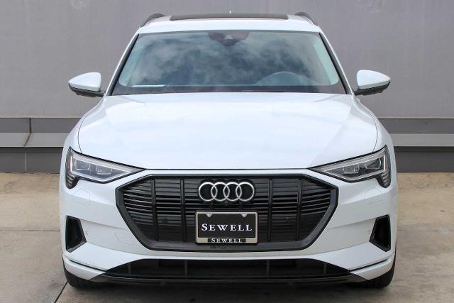 2022 Audi e-tron Vehicle Photo in SUGAR LAND, TX 77478