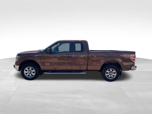 2012 Ford F-150 Vehicle Photo in MEDINA, OH 44256-9631