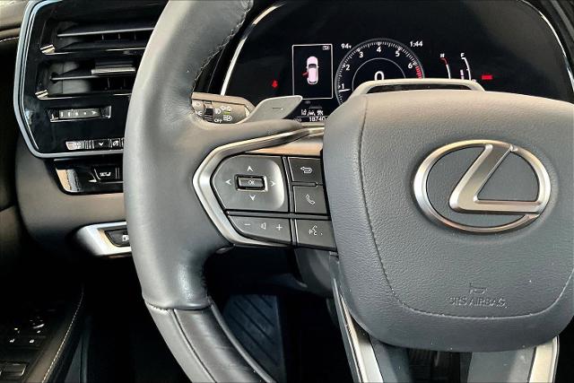 2023 Lexus RX 350 Vehicle Photo in San Antonio, TX 78230