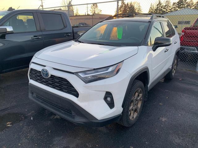 2024 Toyota RAV4 Vehicle Photo in APPLETON, WI 54914-4656