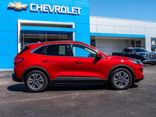 2020 Ford Escape Vehicle Photo in MADISON, IN 47250-1611