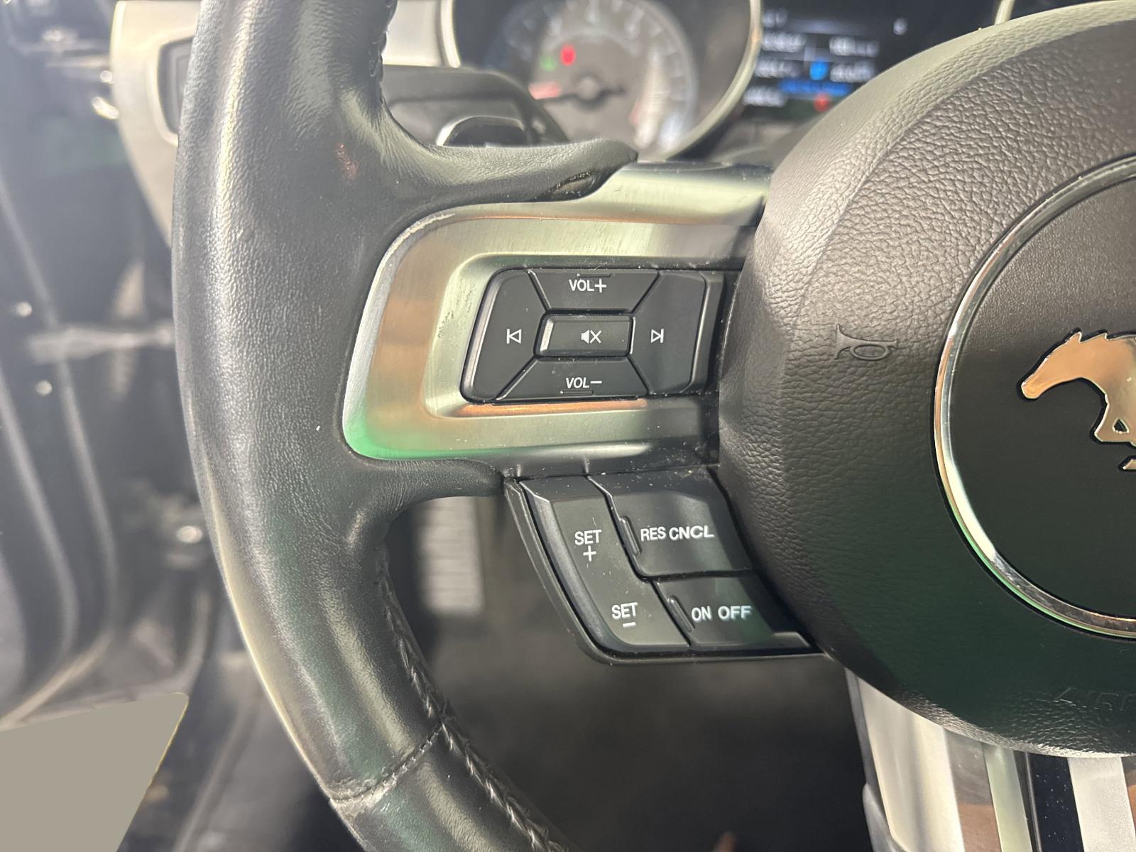 2018 Ford Mustang Vehicle Photo in GEORGETOWN, TX 78626-7508
