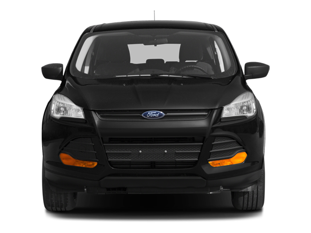 2013 Ford Escape Vehicle Photo in San Antonio, TX 78230