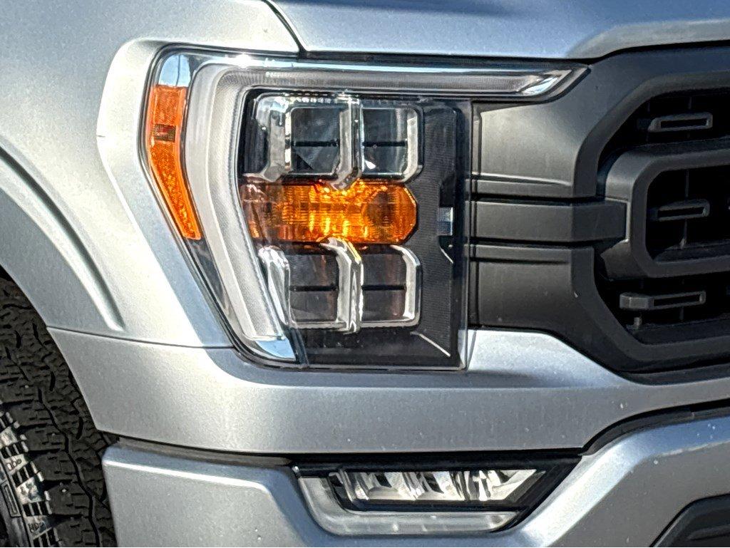 2023 Ford F-150 Vehicle Photo in SAVANNAH, GA 31406-4513