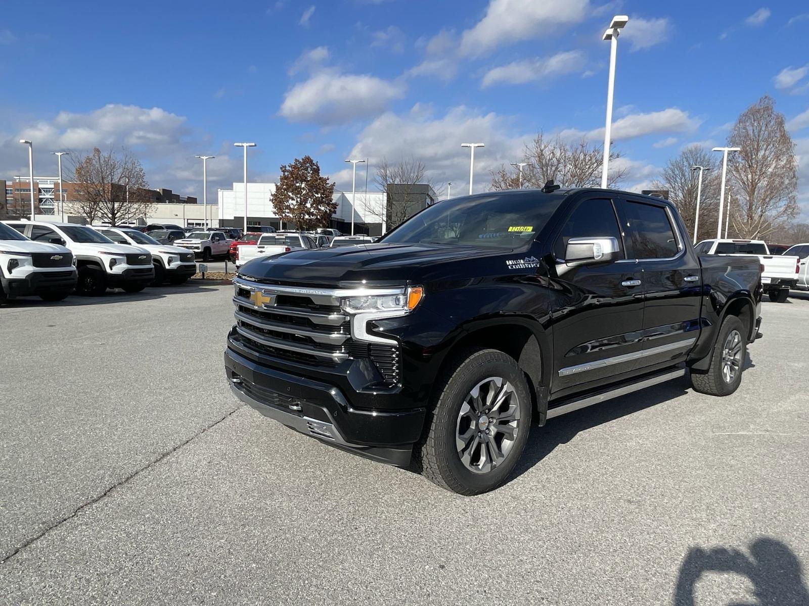 2025 Chevrolet Silverado 1500 Vehicle Photo in BENTONVILLE, AR 72712-4322