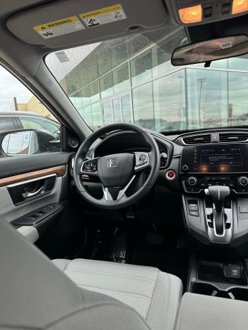 2019 Honda CR-V Vehicle Photo in Peoria, IL 61615