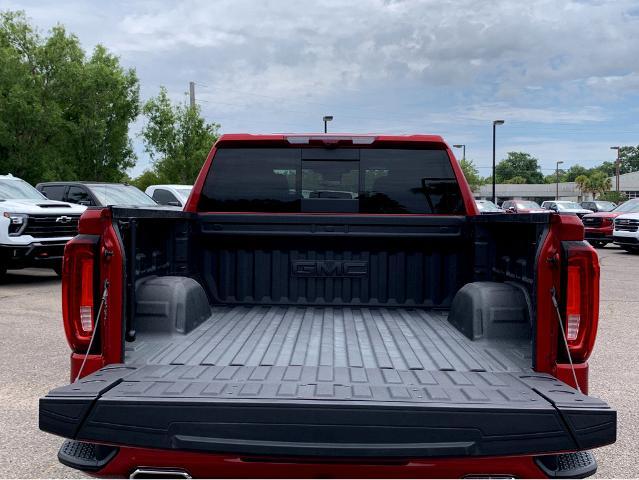 2025 GMC Sierra 1500 Vehicle Photo in BEAUFORT, SC 29906-4218
