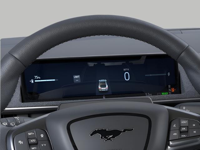 2025 Ford Mustang Mach-E Vehicle Photo in Oshkosh, WI 54901