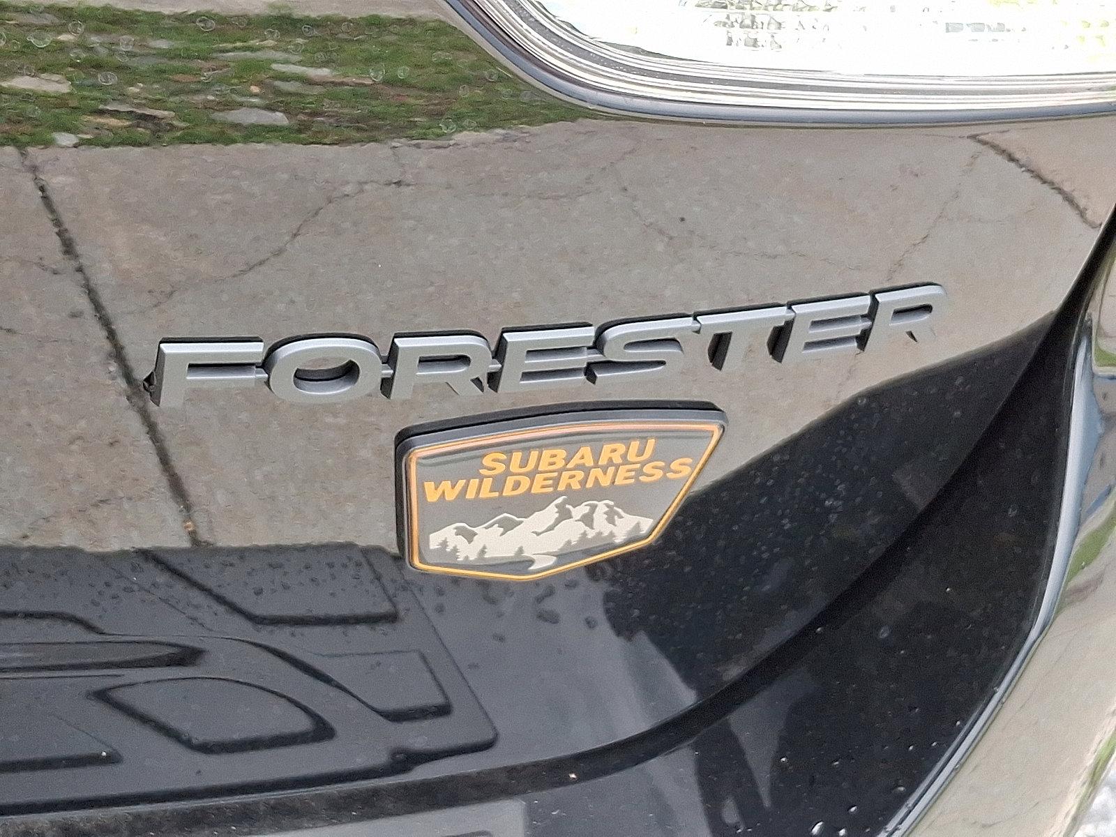 2025 Subaru Forester Vehicle Photo in Harrisburg, PA 17111