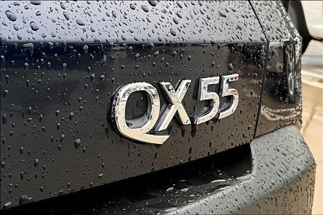 2024 INFINITI QX55 Vehicle Photo in Grapevine, TX 76051