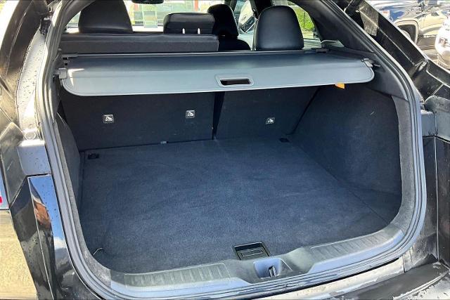 2023 INFINITI QX55 Vehicle Photo in San Antonio, TX 78230