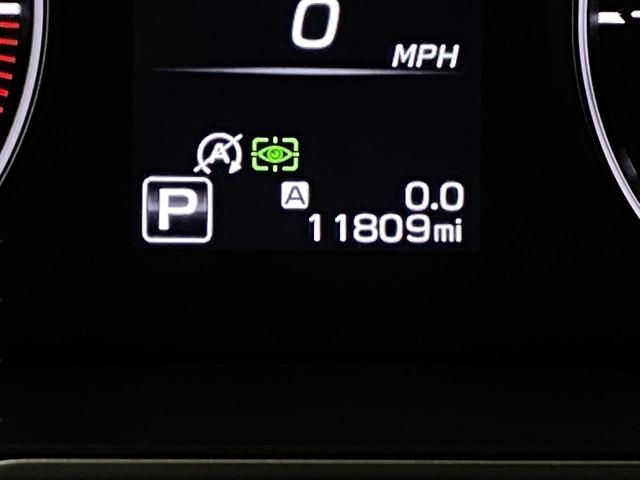 2024 Subaru Outback Vehicle Photo in Appleton, WI 54913