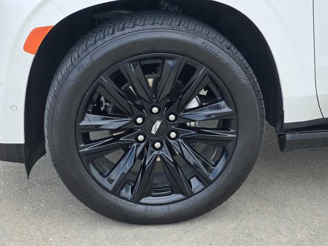 2021 Cadillac Escalade Vehicle Photo in DENTON, TX 76210-9321