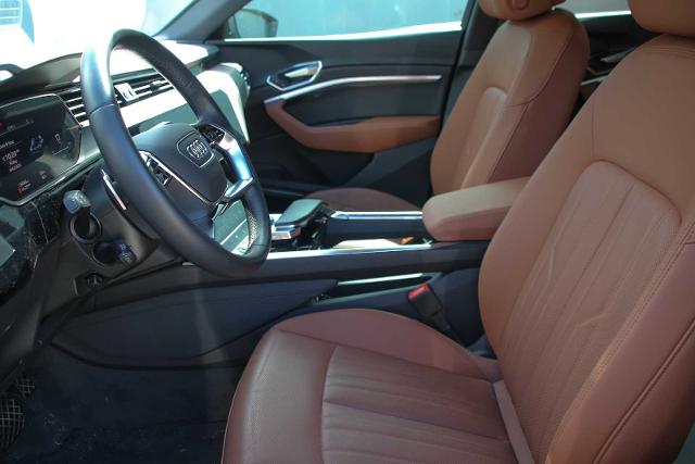 2022 Audi e-tron Vehicle Photo in SUGAR LAND, TX 77478