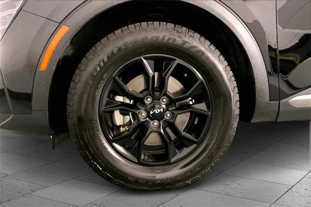 2023 Kia Sportage Vehicle Photo in Lees Summit, MO 64086