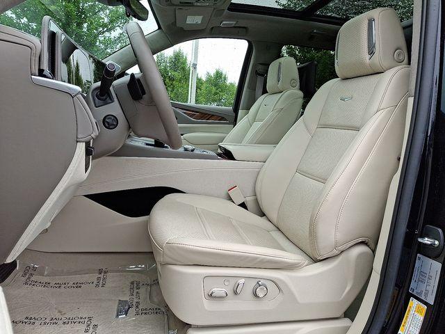 2023 Cadillac Escalade Vehicle Photo in DANBURY, CT 06810-5034