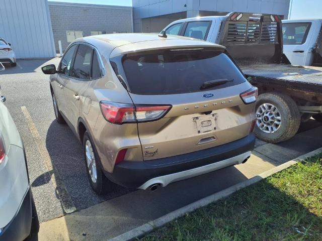 2020 Ford Escape Vehicle Photo in EMPORIA, VA 23847-1235