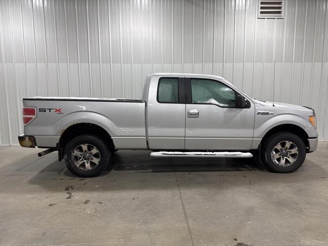 2012 Ford F-150 Vehicle Photo in GLENWOOD, MN 56334-1123