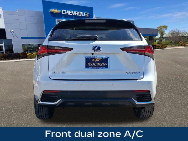 2019 Lexus NX 300h Vehicle Photo in DANBURY, CT 06810-5034