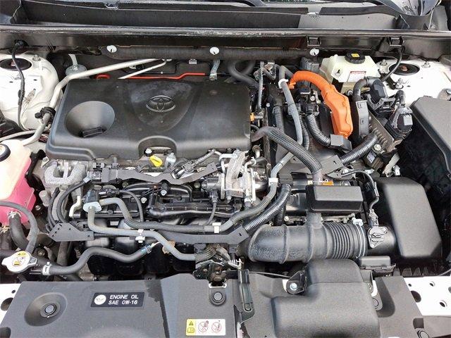 2019 Toyota RAV4 Vehicle Photo in Willow Grove, PA 19090