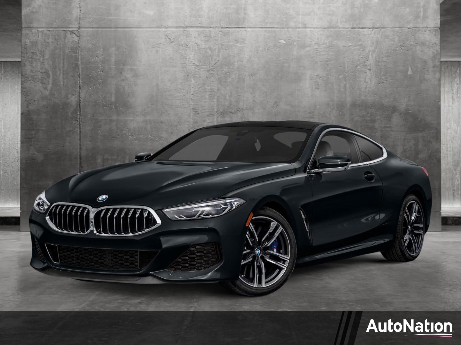 2019 BMW M850i xDrive Vehicle Photo in Panama City, FL 32401