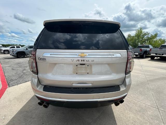 2023 Chevrolet Tahoe Vehicle Photo in Greenville, TX 75402