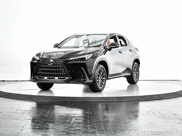2025 Lexus NX 250 Vehicle Photo in DALLAS, TX 75235