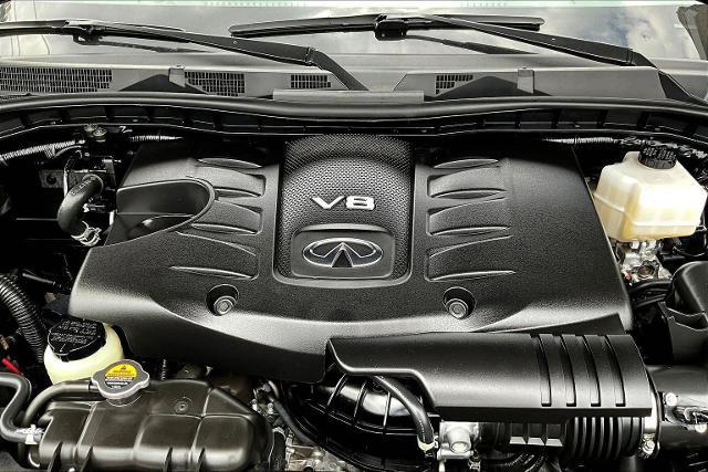 2024 INFINITI QX80 Vehicle Photo in San Antonio, TX 78230