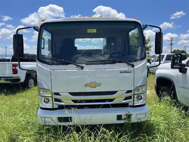 2024 Chevrolet Low Cab Forward 4500 Vehicle Photo in ALCOA, TN 37701-3235