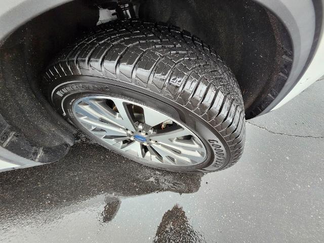 2020 Ford Escape Vehicle Photo in GREEN BAY, WI 54304-5303