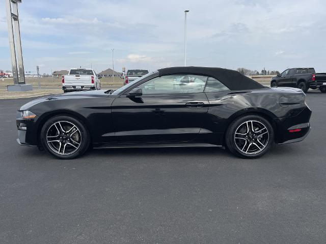 Used 2022 Ford Mustang EcoBoost with VIN 1FATP8UH6N5101843 for sale in Belle Plaine, Minnesota