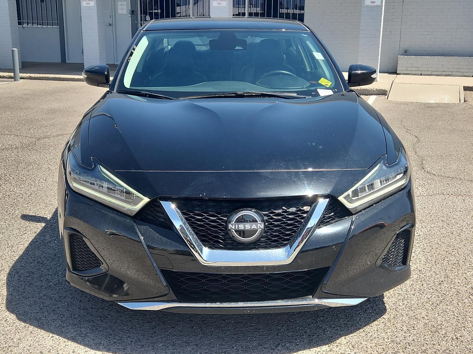 2023 Nissan Maxima Vehicle Photo in Albuquerque, NM 87110