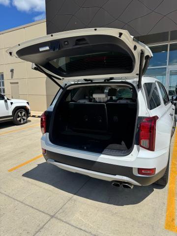 2020 Hyundai PALISADE Vehicle Photo in Peoria, IL 61615