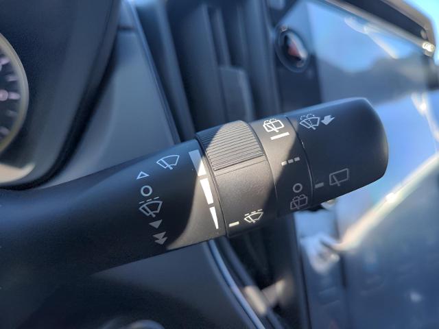 2025 Subaru Crosstrek Vehicle Photo in Green Bay, WI 54304