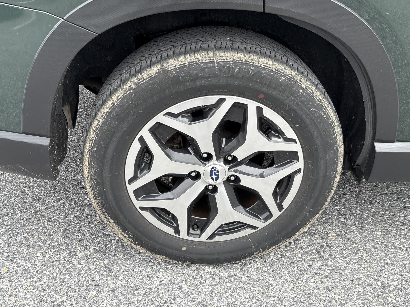 2023 Subaru Forester Vehicle Photo in Mechanicsburg, PA 17050