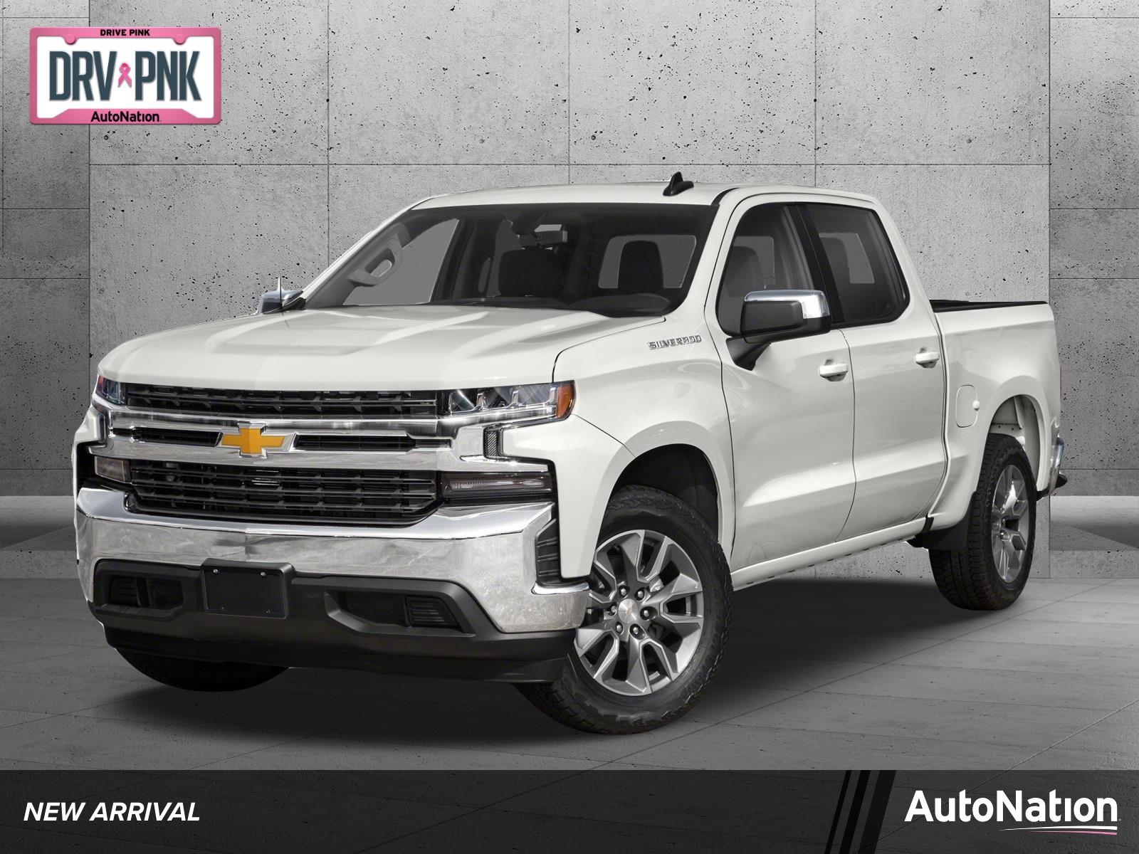 2019 Chevrolet Silverado 1500 Vehicle Photo in Corpus Christi, TX 78415