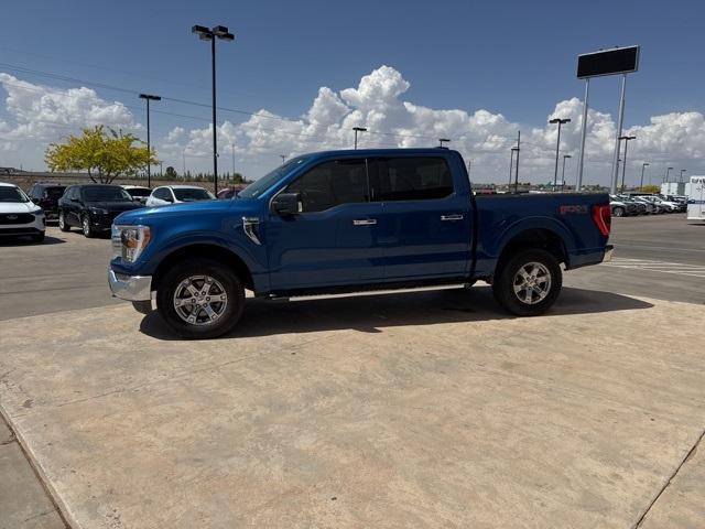 2022 Ford F-150 Vehicle Photo in Winslow, AZ 86047-2439