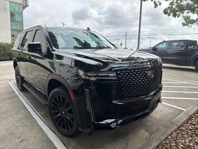 2022 Cadillac Escalade Vehicle Photo in San Antonio, TX 78230