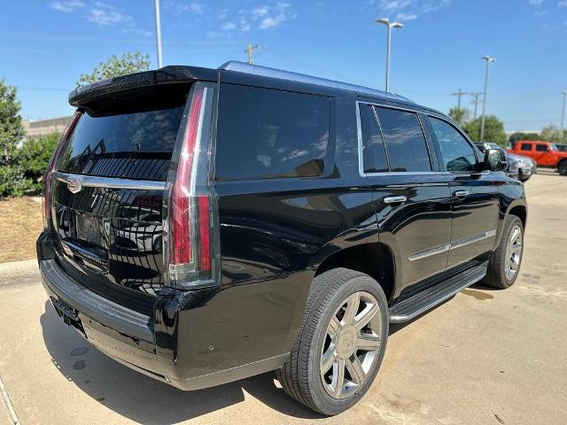 2019 Cadillac Escalade Vehicle Photo in San Antonio, TX 78230