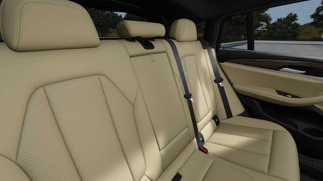 2025 BMW X4 xDrive30i Vehicle Photo in GRAPEVINE, TX 76051