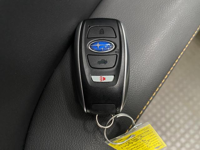 2024 Subaru Outback Vehicle Photo in Appleton, WI 54913