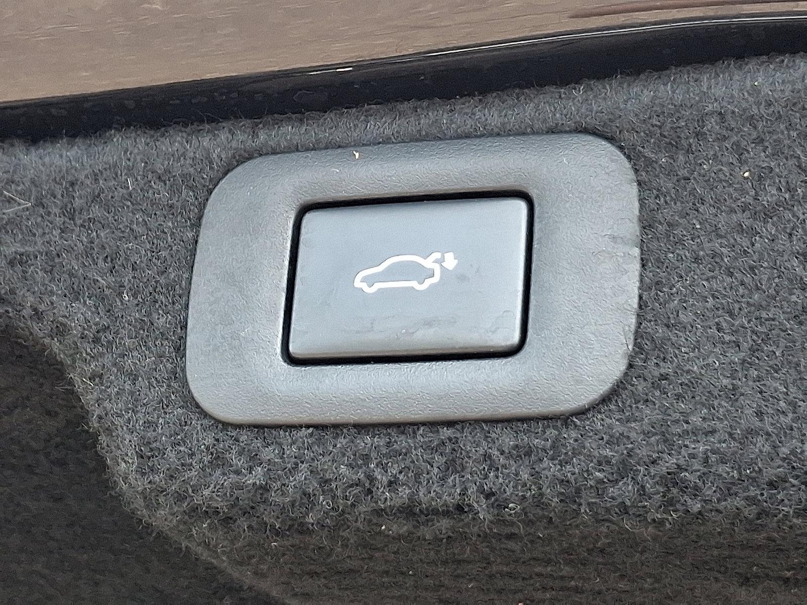 2019 Lexus LS 500 Vehicle Photo in Trevose, PA 19053