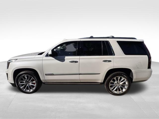2019 Cadillac Escalade Vehicle Photo in DELRAY BEACH, FL 33483-3294