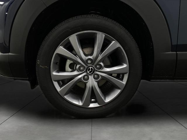2025 Mazda CX-30 Vehicle Photo in Appleton, WI 54913