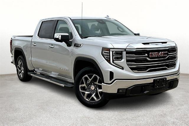 2022 GMC Sierra 1500 Vehicle Photo in San Antonio, TX 78230