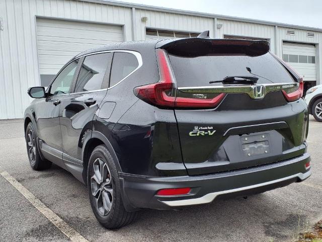 2022 Honda CR-V Vehicle Photo in EMPORIA, VA 23847-1235