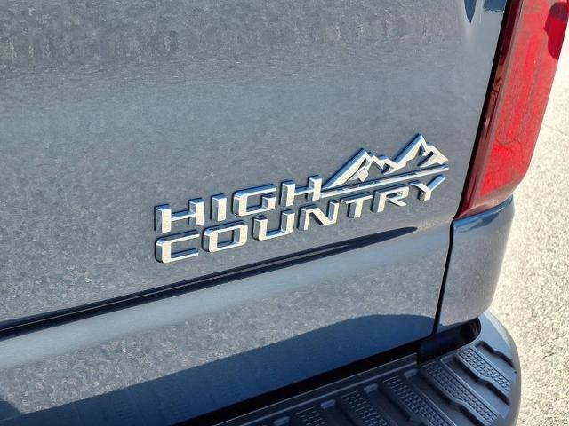 2024 Chevrolet Silverado 1500 Vehicle Photo in EMPORIA, VA 23847-1235